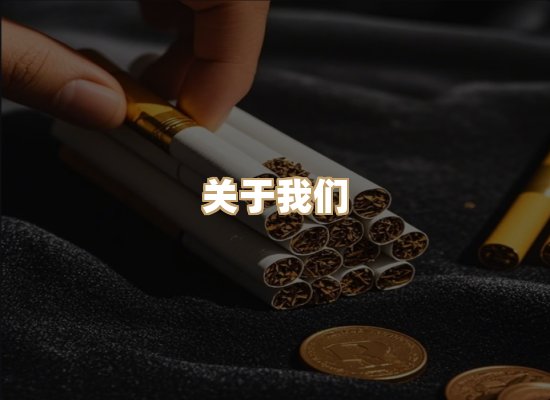 关于御龙烟网